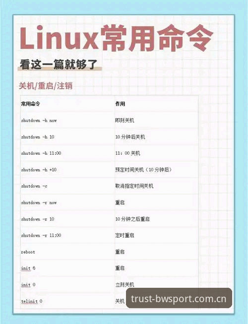 宝威体育注册流程详解：从入门到精通的完整指南